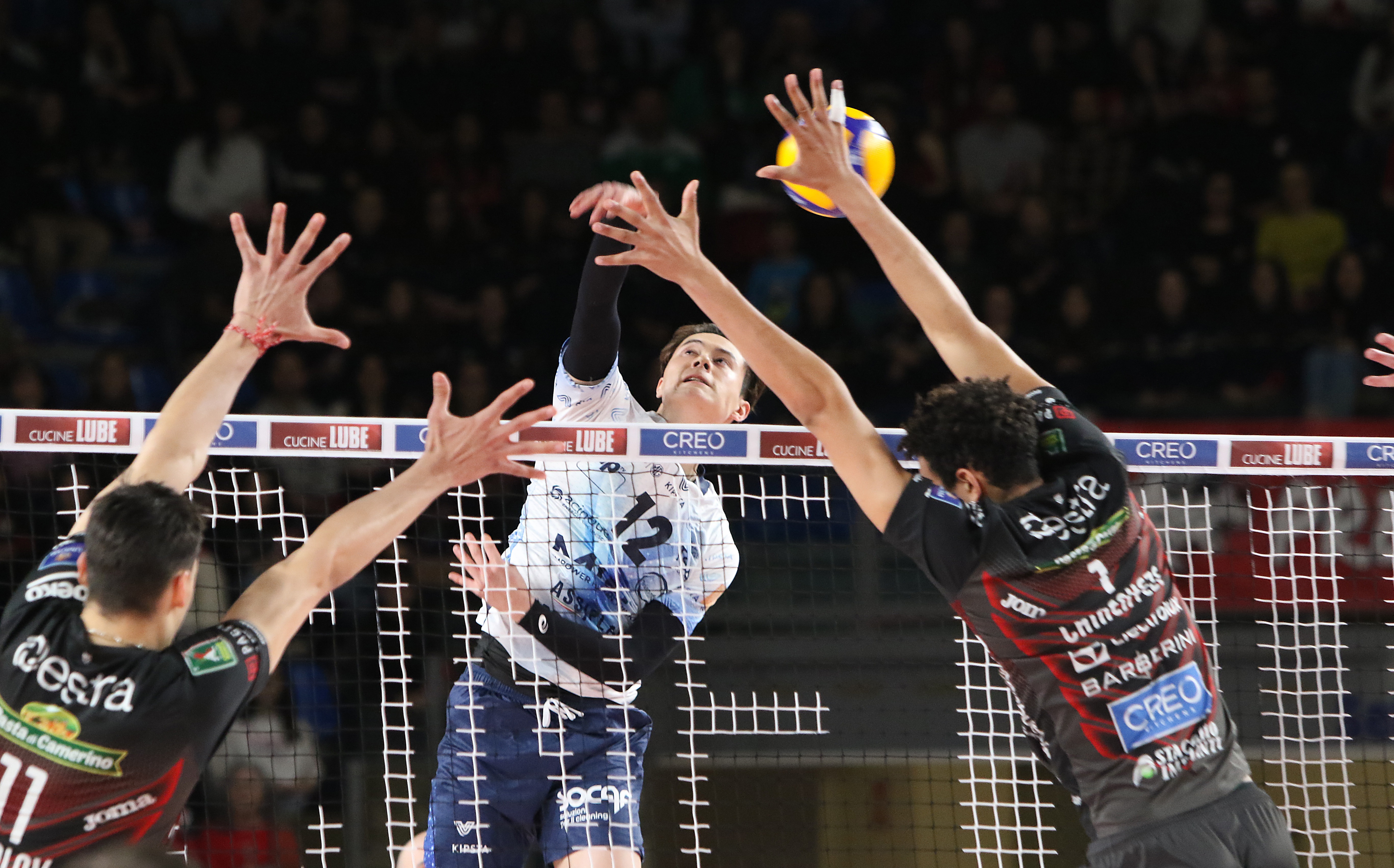 关于诺维奇胜券在握，主场完胜对手的信息