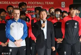 首尔球队精彩发挥，球迷热情支持度倍增的简单介绍