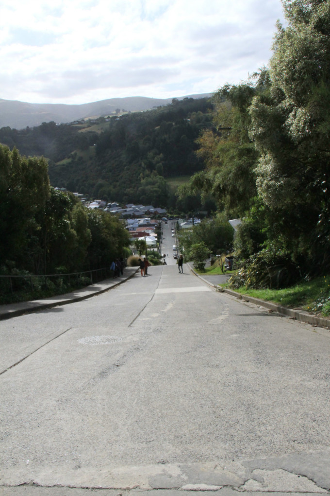 飞翔自如：新西兰姑娘一败涂地，晋级对手