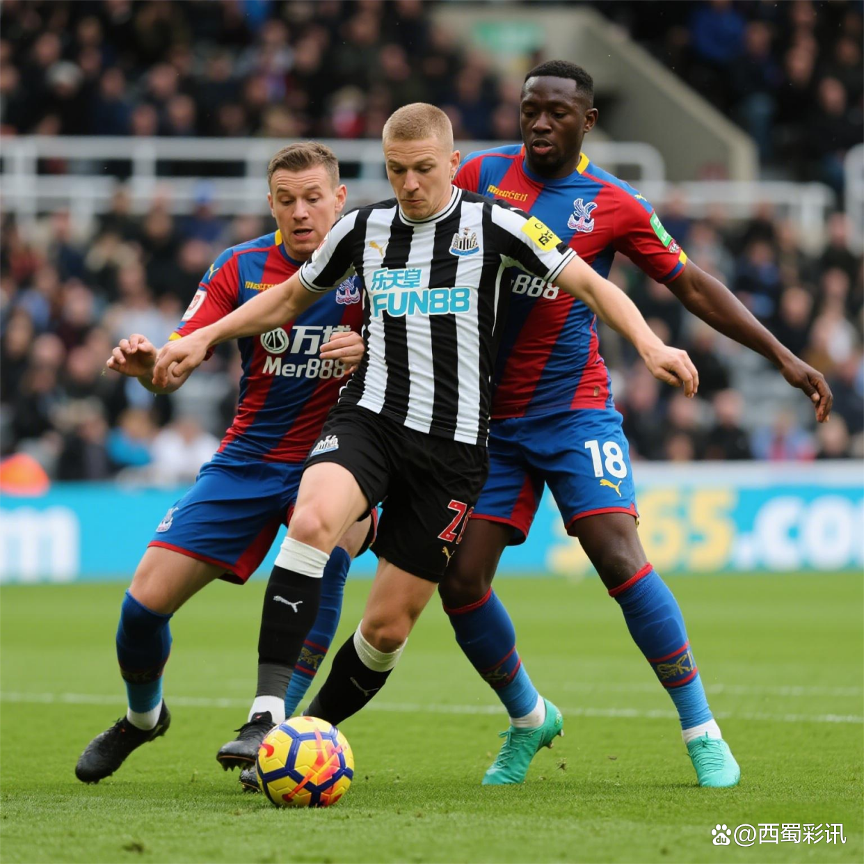 斯旺西纽卡斯尔之战，胜者难分胜负的简单介绍