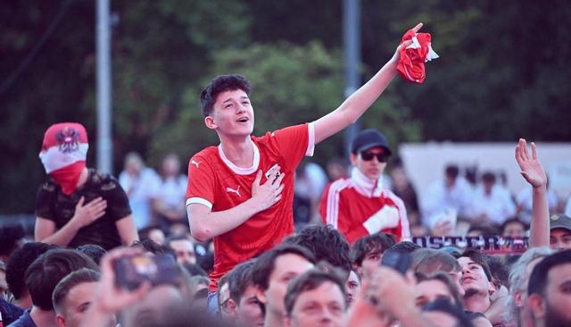 欧洲预赛比赛激烈角逐，观众为之狂热的简单介绍