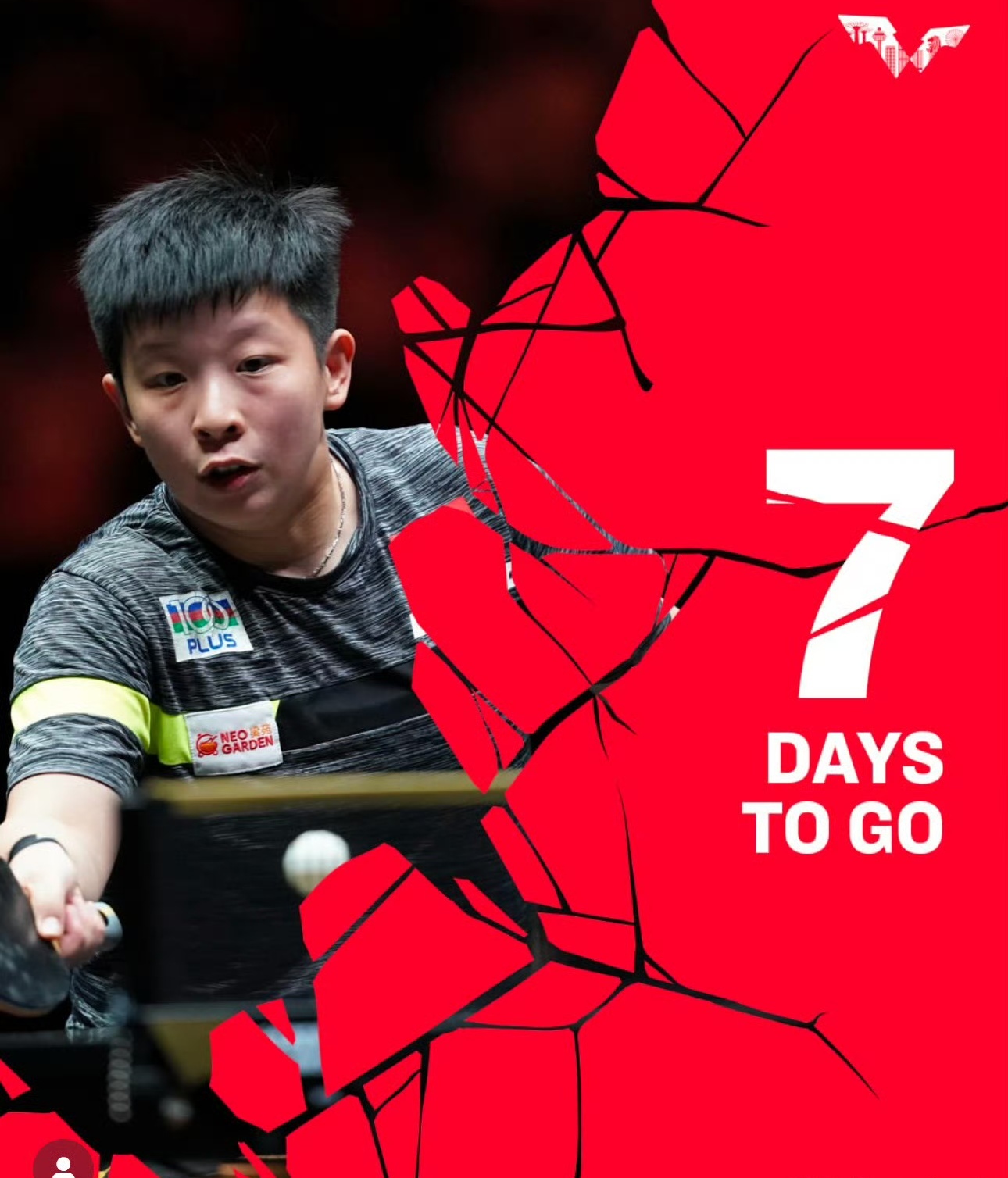 包含新加坡队勇往直前，冲击冠军的词条