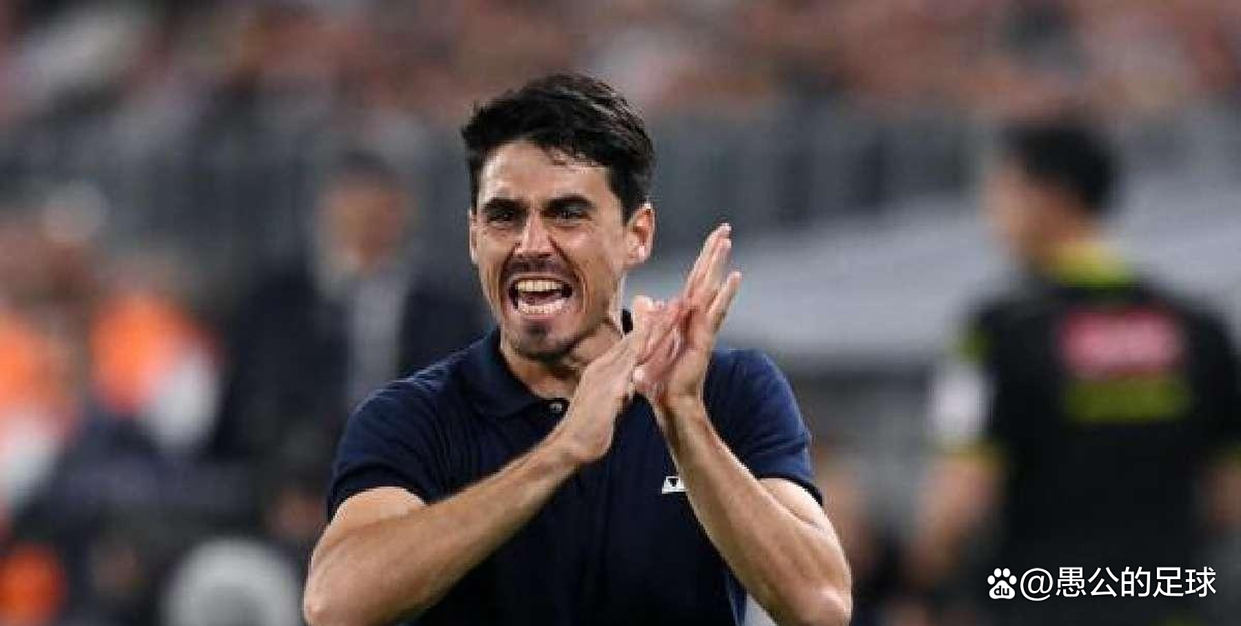 帕尔马主帅战术调整得当，球队实力得到提升的简单介绍