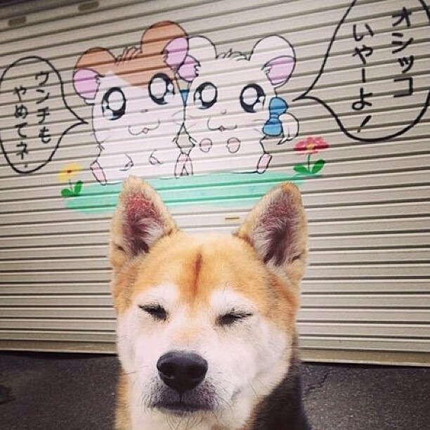 老鹰力克广东队，戈贝尔在奥运周期关键战接管比赛