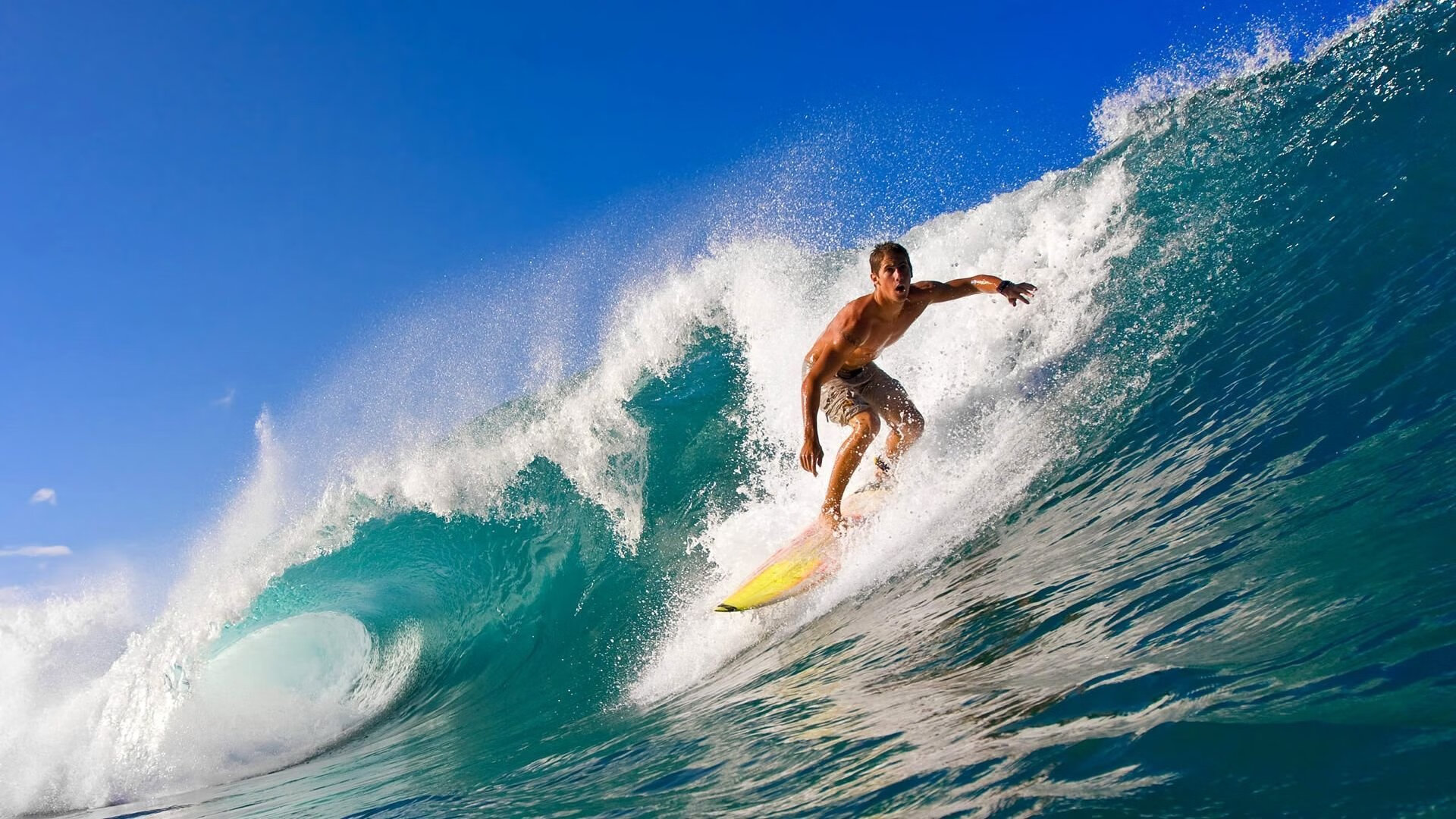 浓眉统治攻防两端,深圳队力克黄蜂展现团队韧性