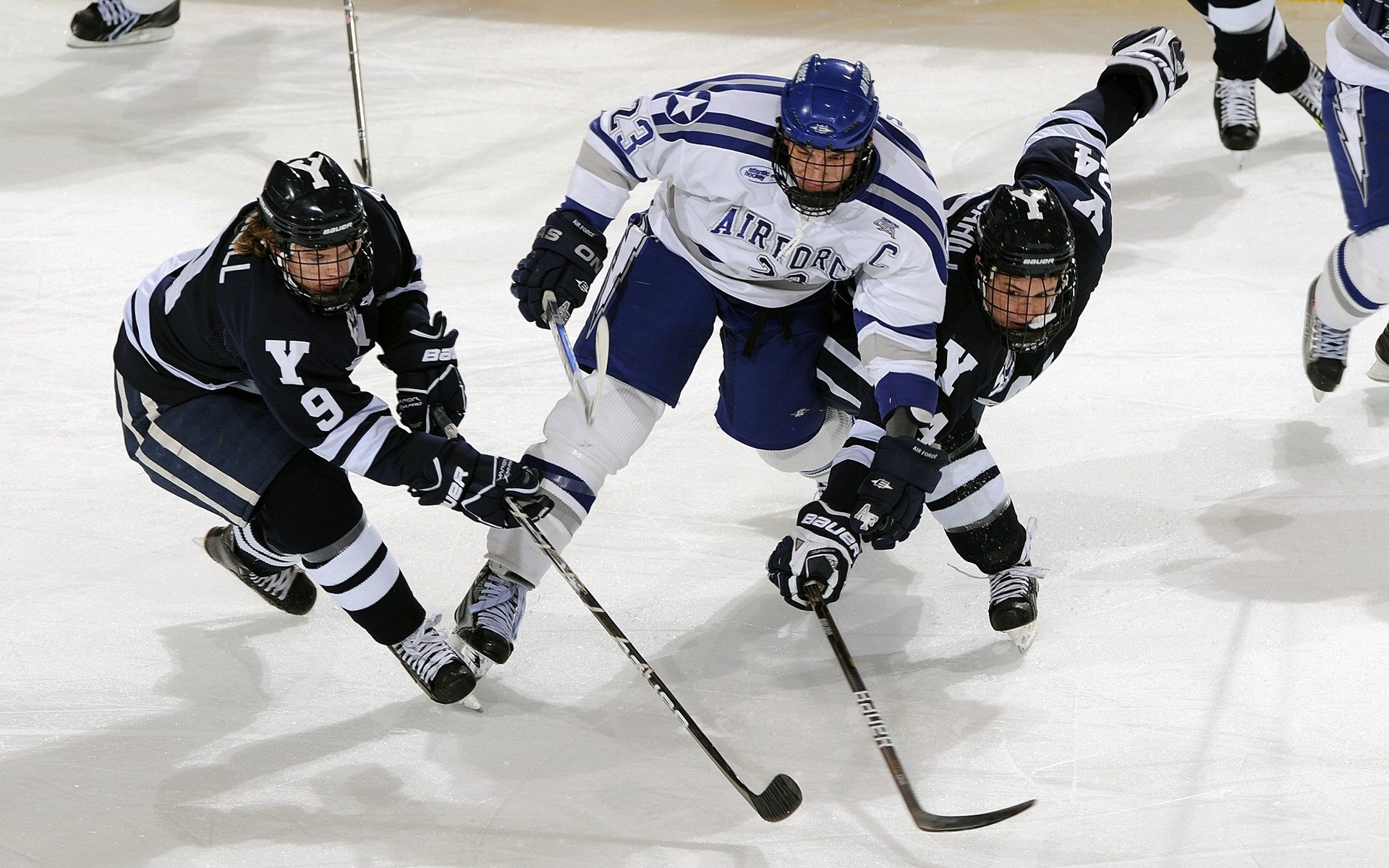 米切尔数据全面爆炸引领风暴，国王主场速胜火箭显统治力
