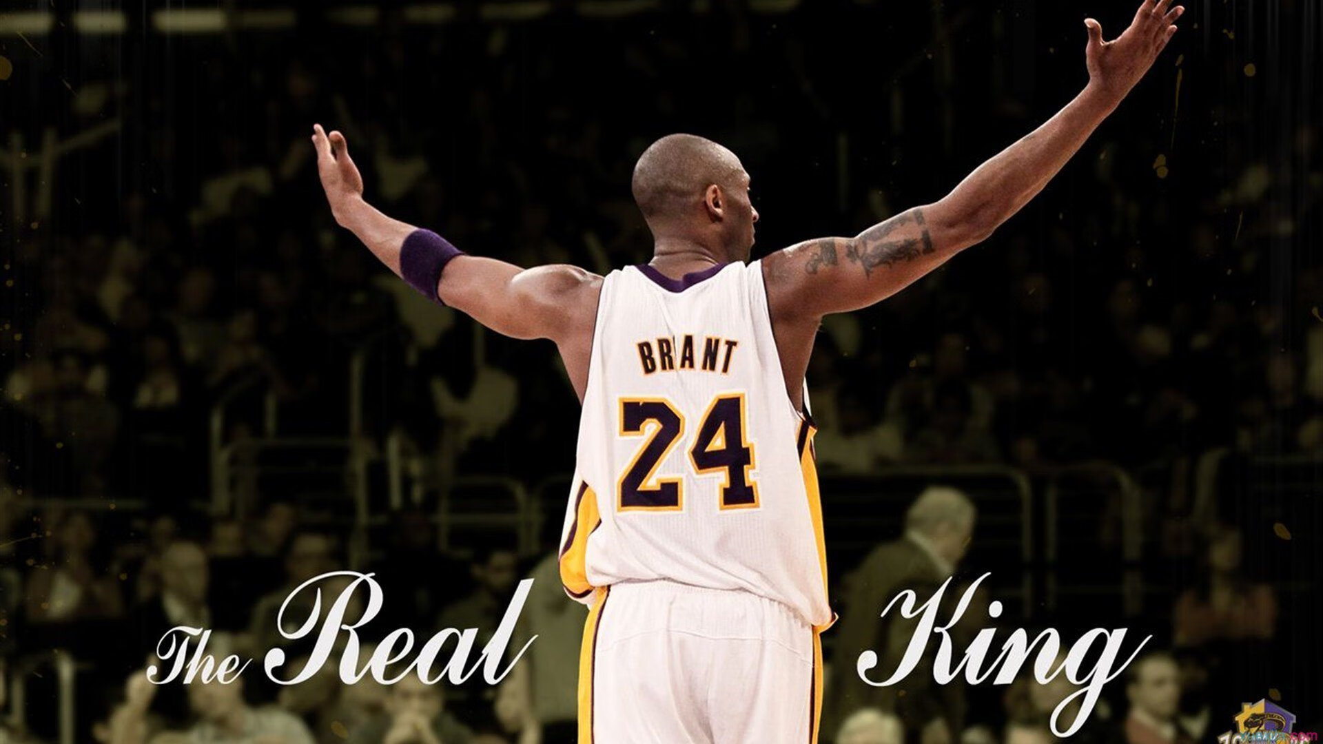 红牛险胜雷诺，勒克莱尔状态火热预示F1新格局？